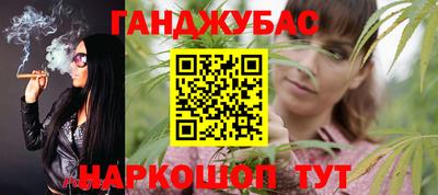 гидра Будённовск