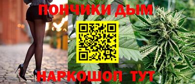 гидра Будённовск