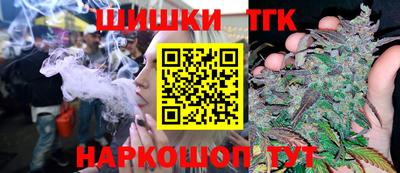 гидра Будённовск