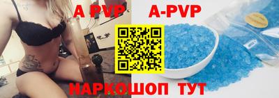 гидра Будённовск