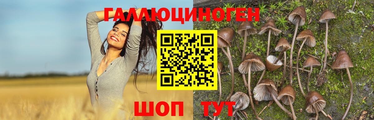 Псилоцибиновые грибы мицелий  Галлюциногенные грибы мицелий  Моздок  как найти закладки  Вход с VPN 